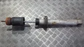 Rear shock absorber/damper