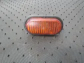 Front fender indicator light