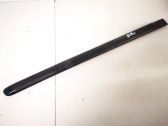 Rear door trim (molding)