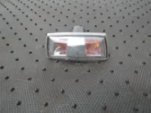 Front fender indicator light