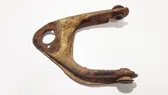 Front lower control arm/wishbone