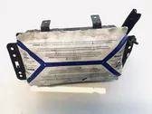 Beifahrerairbag