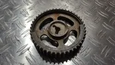 Camshaft pulley/ VANOS