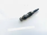 Glow plug