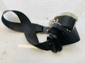 Sicherheitsgurt vorne