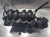 Intake manifold