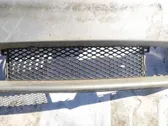 Front bumper lower grill