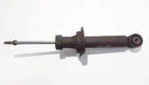 Rear shock absorber/damper