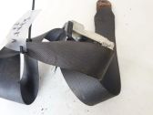 Rear seatbelt