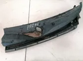 Moldura del limpia