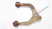 Front lower control arm/wishbone