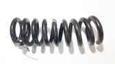 Muelle espiral trasero