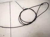 Cable del acelerador