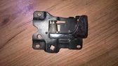 Manecilla interna puerta trasera