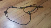 ABS Sensor