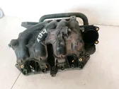 Intake manifold