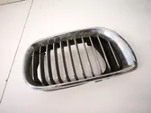 Front grill