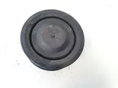 Alternator pulley