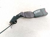 Hebilla del cinturón de seguridad trasero