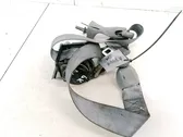 Cinturón trasero