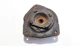 Coil spring mount