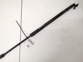 Tailgate/trunk strut/damper
