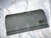 Listón embellecedor de la puerta delantera (moldura)