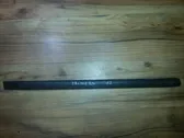 Rear door trim (molding)