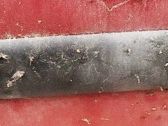 Listón embellecedor de la puerta delantera (moldura)