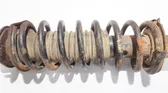 Front coil spring