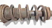 Front coil spring