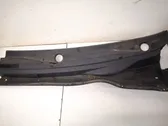 Moldura del limpia