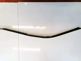 Rear door glass trim molding