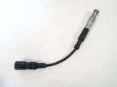 Ignition plug leads