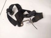 Middle seatbelt buckle (rear)