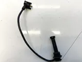 Ignition plug leads