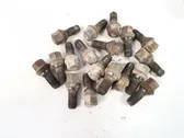 Nuts/bolts