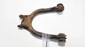 Querlenker Achsschenkel hinten