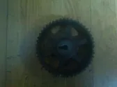 Polea del cigüeñal/VANOS