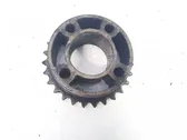 Camshaft pulley/ VANOS