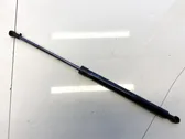 Konepellin kaasujousi