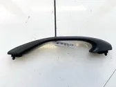 Front interior roof grab handle