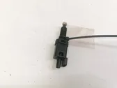 Brake pedal sensor switch