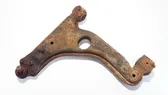 Front lower control arm/wishbone