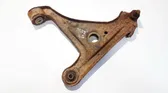 Front lower control arm/wishbone