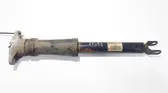 Stoßdämpfer hinten