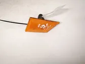 Seitenblinker