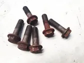 Nuts/bolts