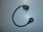 Sensor de petardeo del motor