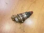Injektor Einspritzdüse